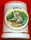 KOALA DE AUSTRALIA