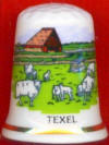 TEXEL - INGLATERRA