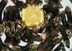 "PERCEBES" Y TODA CLASE DE MARISCOS - RIQUSIMOS!!!!