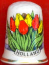 PRECIOSOS TULIPANES, LA FLOR NACIONAL DE HOLANDA (LOURDES, DE VALENCIA)