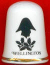 ARTHUR WELLESLEY - DUQUE DE WELLINGTON - DUBLN 1-5-1769 - KENT (INGLATERRA) 14-9-1852