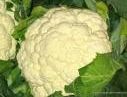 COLIFLOR DE CALAHORRA - CON DENOMINACIN DE ORIGEN